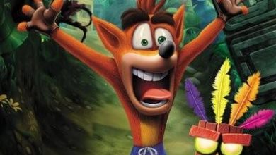 crash bandicoot